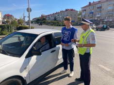 Акция  «Пропусти пешехода» в г. Ишим